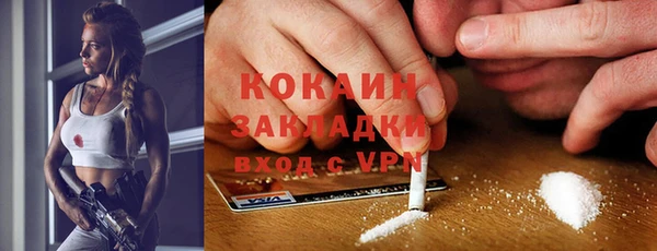 соль ск Белокуриха