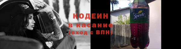 соль ск Белокуриха