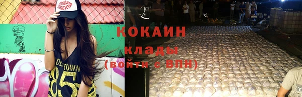 соль ск Белокуриха