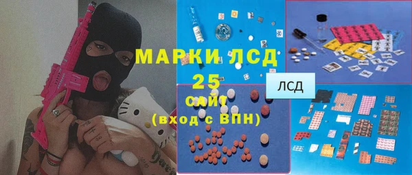 соль ск Белокуриха