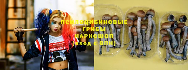 прущий лед Белоозёрский